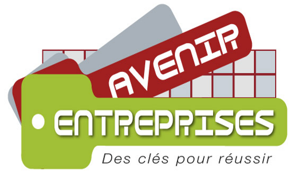 AVENIR ENTREPRISES