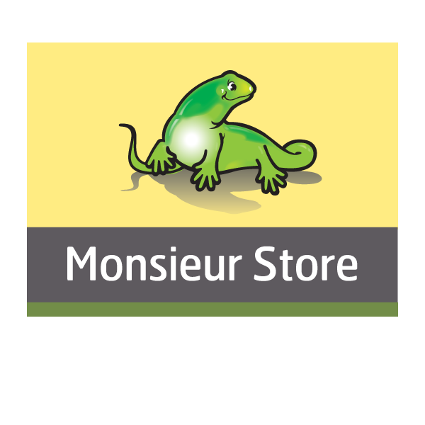 MONSIEUR STORE
